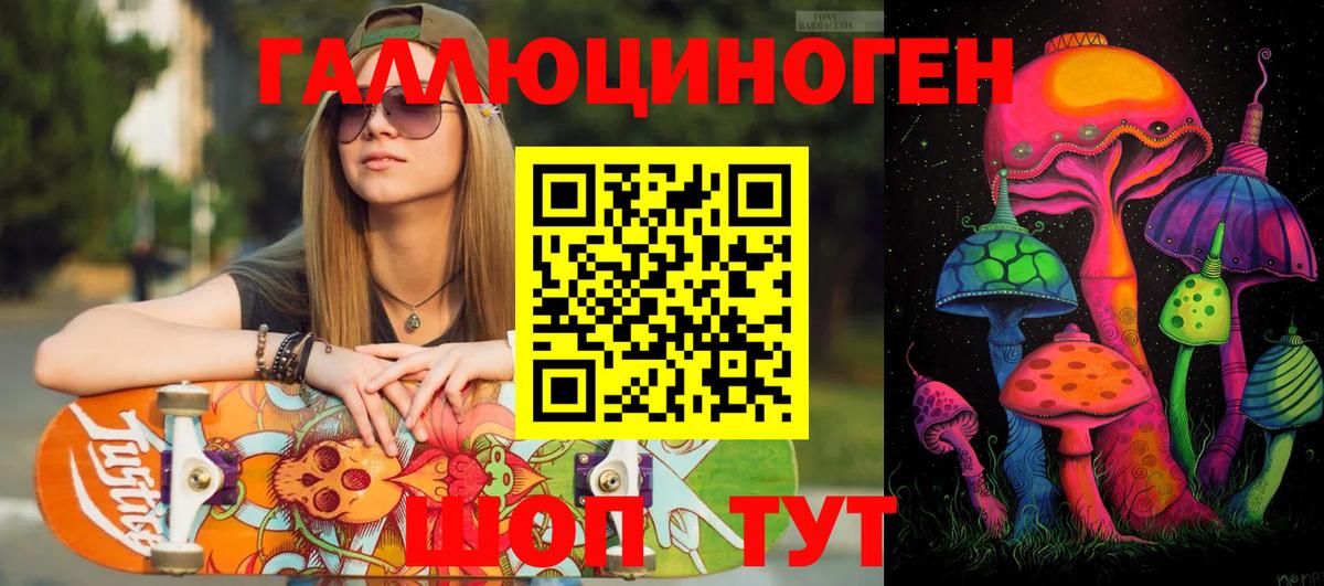Галлюциногенные грибы Psilocybe Саяногорск